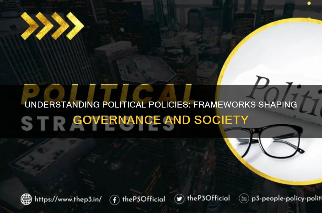 what are policies in politics