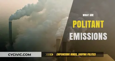 Understanding Politant Emissions: Causes, Impacts, and Mitigation Strategies