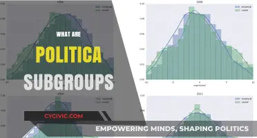 Understanding Political Subgroups: Dynamics, Roles, and Influence in Society