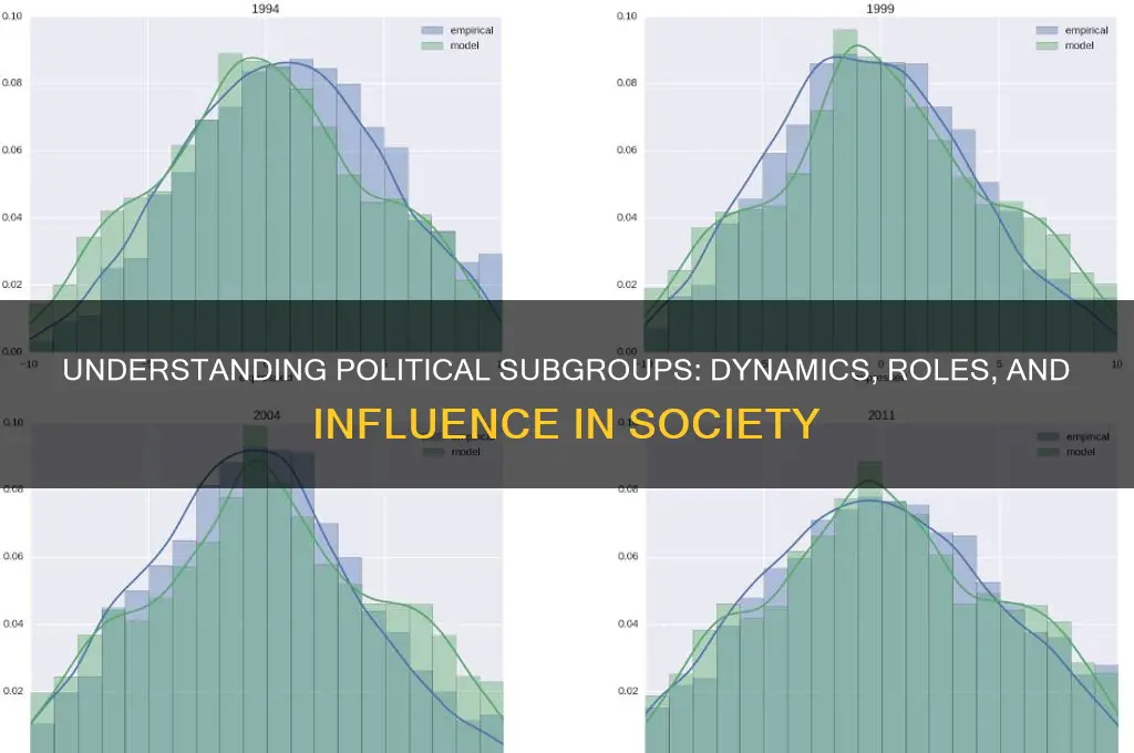 what are politica subgroups