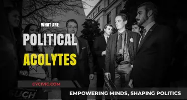 Understanding Political Acolytes: Loyal Followers and Their Influence in Politics