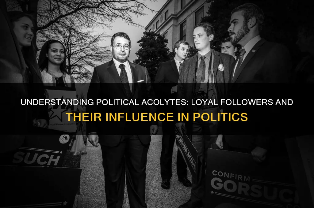 what are political acolytes