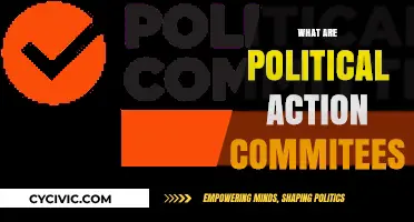 Understanding Political Action Committees: Power, Influence, and Campaign Funding