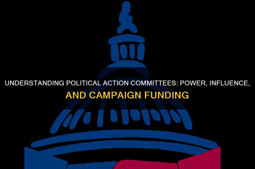 what are political action commitees