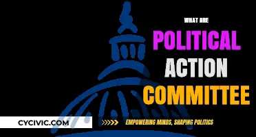 Understanding Political Action Committees: Influence, Funding, and Impact Explained