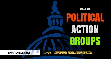 Understanding Political Action Groups: Their Role, Impact, and Influence
