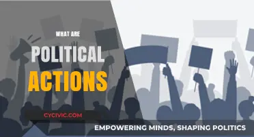 Understanding Political Actions: Strategies, Impacts, and Civic Engagement Explained