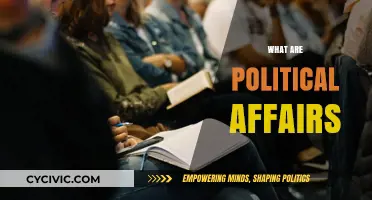 Understanding Political Affairs: Key Concepts, Roles, and Global Impact