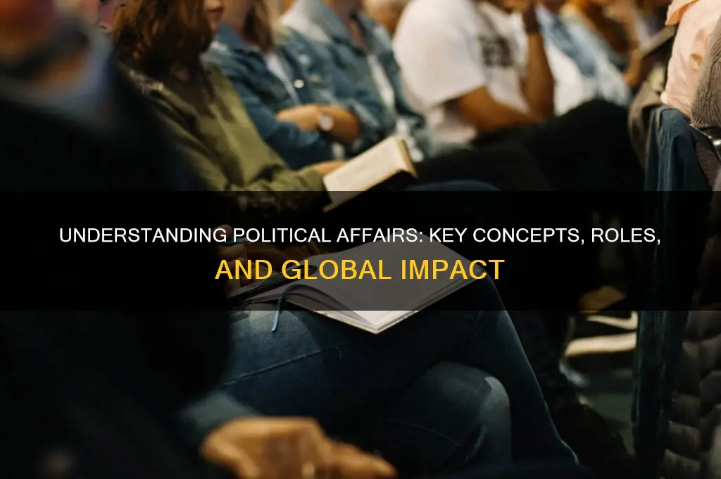 what are political affairs