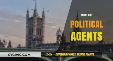 Understanding Political Agents: Roles, Influence, and Impact in Governance