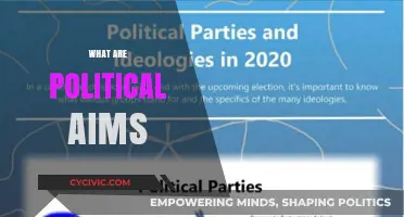 Understanding Political Aims: Goals, Strategies, and Societal Impact Explained