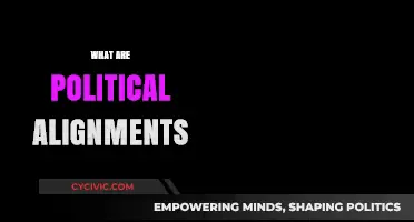 Understanding Political Alignments: Ideologies, Coalitions, and Power Dynamics Explained