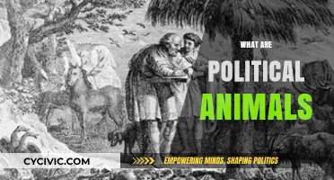 Understanding Political Animals: Nature, Behavior, and Human Parallels Explained