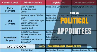 Understanding Political Appointees: Roles, Influence, and Impact on Governance