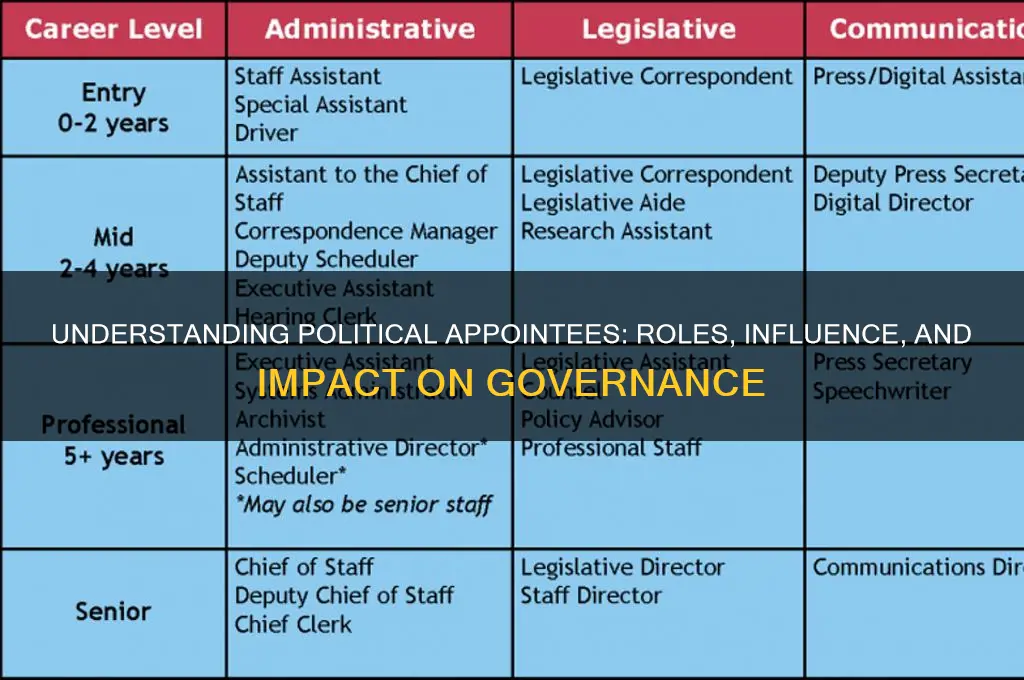what are political appointees