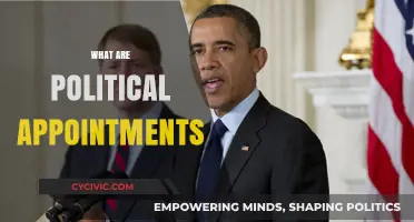 Understanding Political Appointments: Power, Influence, and Governance Explained