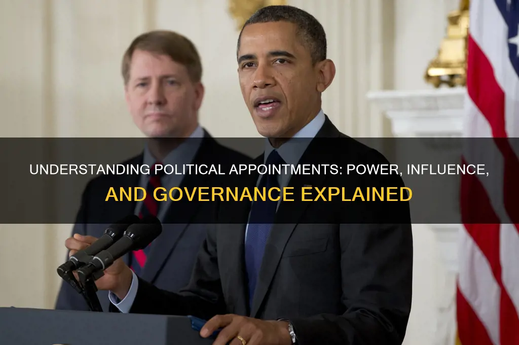 what are political appointments