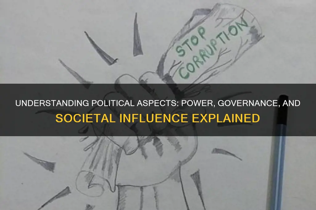 what are political aspects