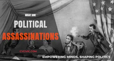 Understanding Political Assassinations: Motives, Impact, and Historical Context