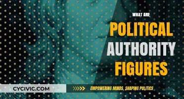 Understanding Political Authority Figures: Roles, Power, and Influence Explained
