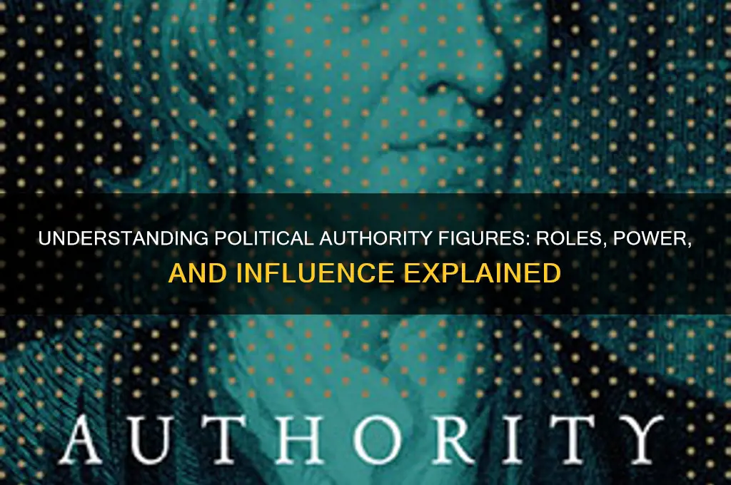 what are political authority figures