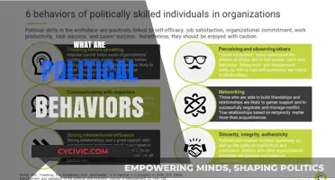 Understanding Political Behaviors: Tactics, Strategies, and Power Dynamics Explained