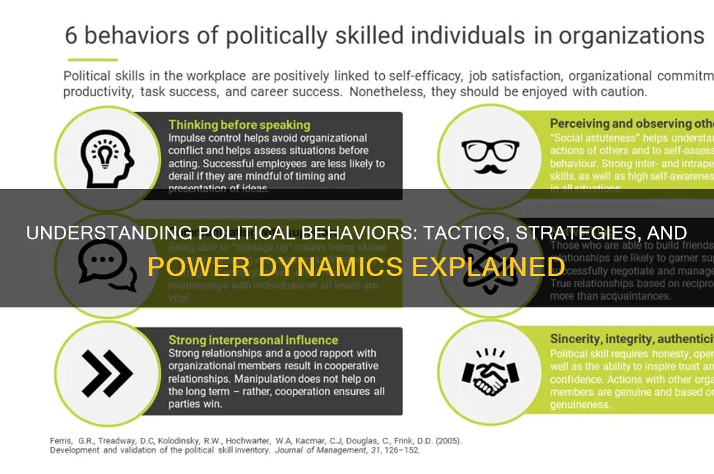 what are political behaviors