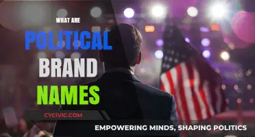 Understanding Political Brand Names: Identity, Strategy, and Voter Perception Explained
