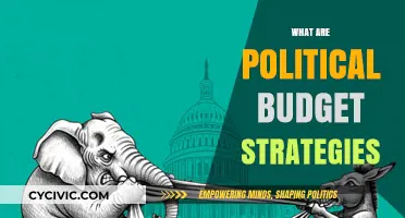 Understanding Political Budget Strategies: Key Tactics for Fiscal Governance
