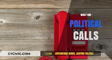 Understanding Political Calls: Strategies, Impact, and Voter Engagement Explained