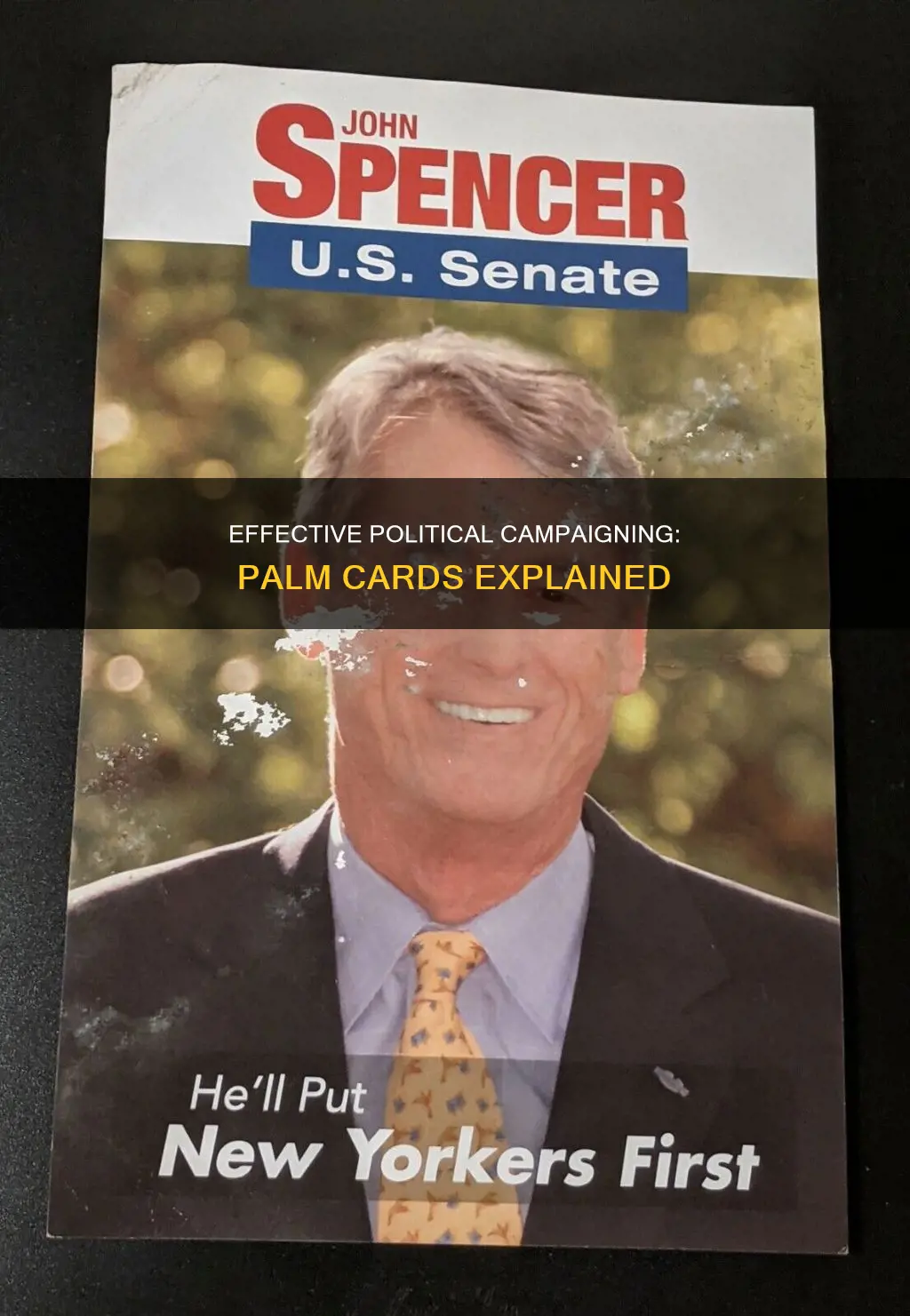 what are political campaign palm cards