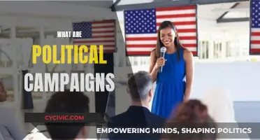 Political Campaigns: How to Win Elections and Influence Voters
