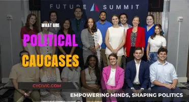 Understanding Political Caucuses: Their Role, Function, and Impact in Politics