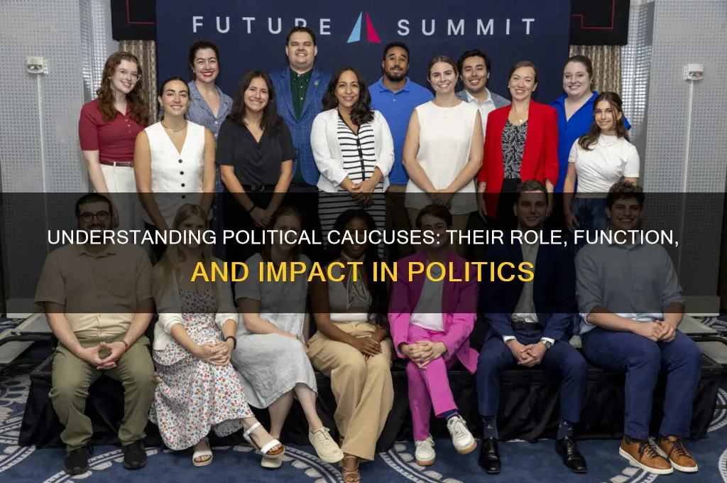 what are political caucases