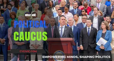 Understanding Political Caucuses: Their Role, Process, and Impact in Democracy