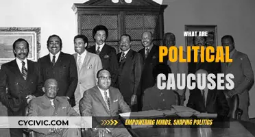 Understanding Political Caucuses: How They Shape Elections and Party Politics