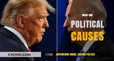 Understanding Political Causes: Roots, Impact, and Societal Influence Explained