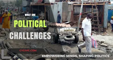 Navigating Political Challenges: Understanding Complexities and Overcoming Obstacles