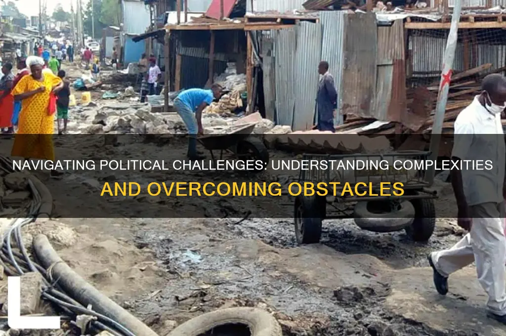 what are political challenges