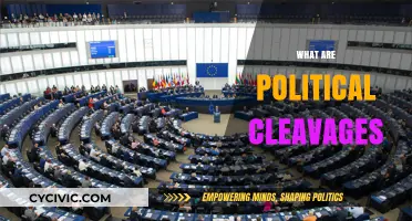 Understanding Political Cleavages: Divisions Shaping Societies and Governments