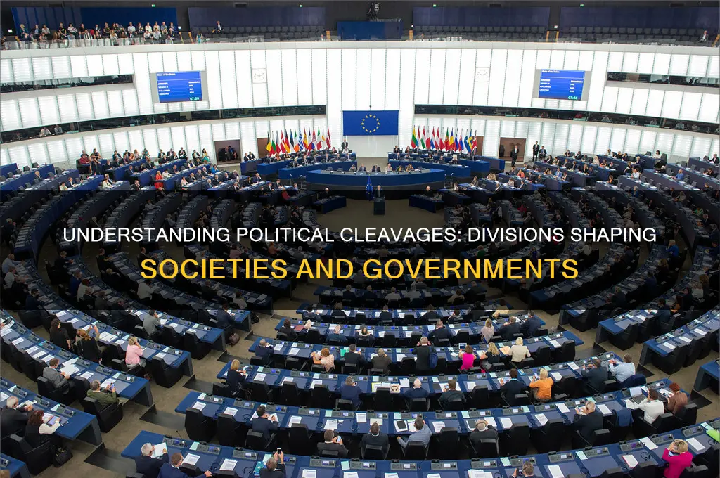 what are political cleavages