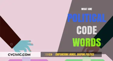 Decoding Political Jargon: Understanding Hidden Meanings in Modern Discourse