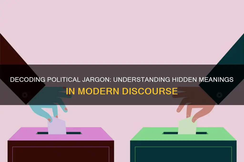 what are political code words