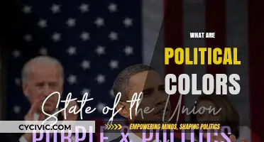 Decoding Political Colors: Meanings, Origins, and Global Symbolism Explained