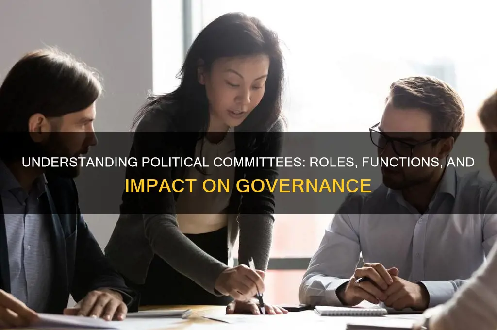 what are political commitees