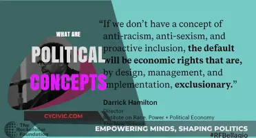 Understanding Political Concepts: Foundations, Theories, and Real-World Applications