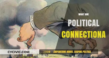 Understanding Political Connections: Power, Influence, and Network Dynamics Explained
