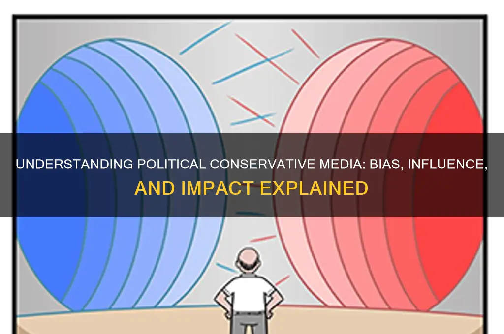 what are political conservative media