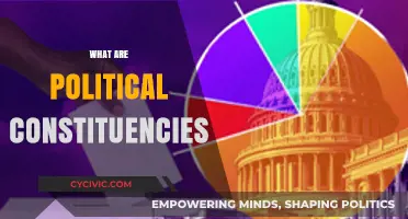 Understanding Political Constituencies: Representation, Boundaries, and Voter Influence