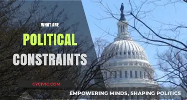 Understanding Political Constraints: Limitations Shaping Policy and Governance Decisions
